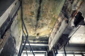 Best Attic Mold Removal  in Scarsdale, NY